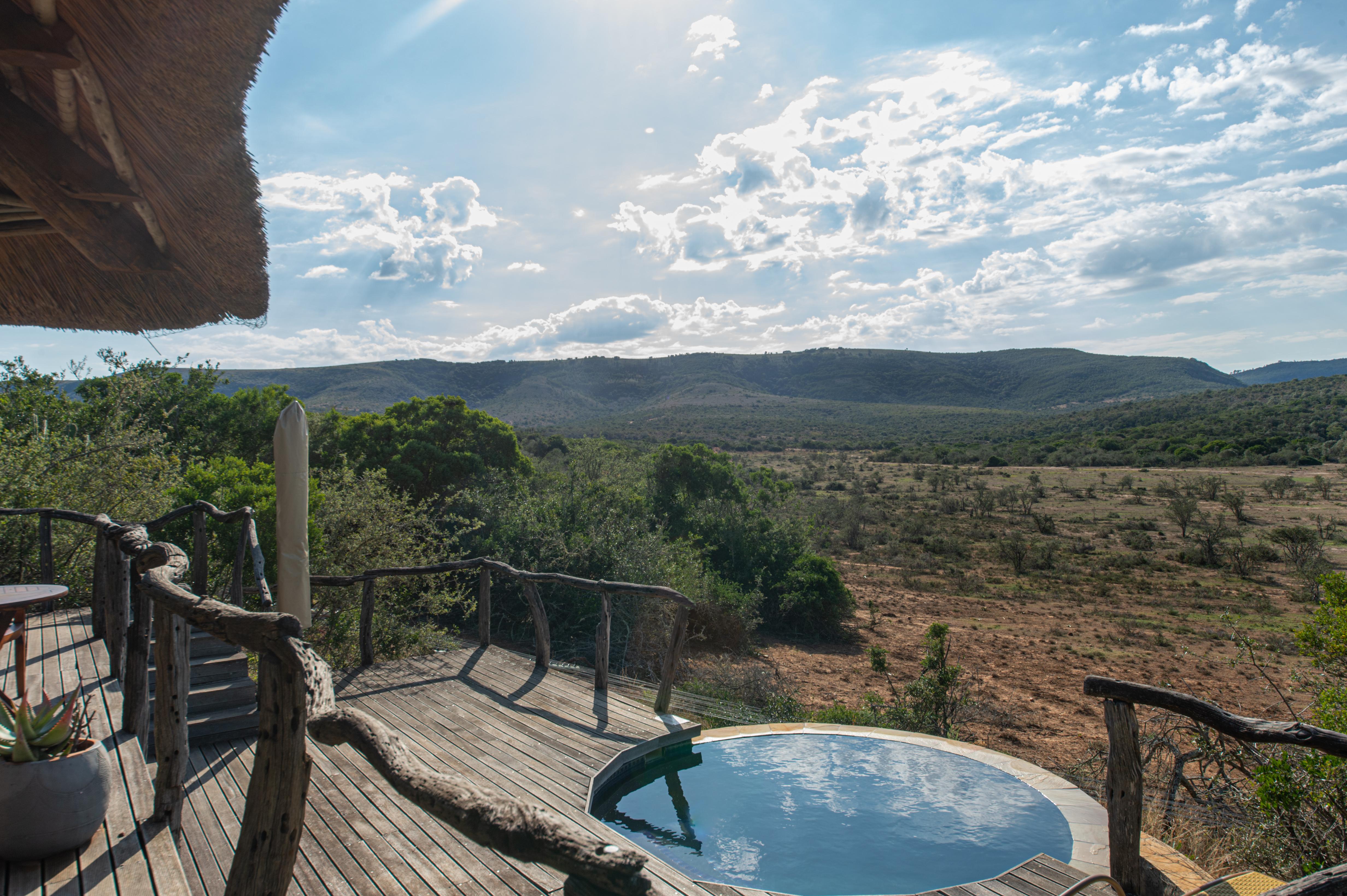 Pumba Private Game Reserve Port Elizabeth Exterior photo