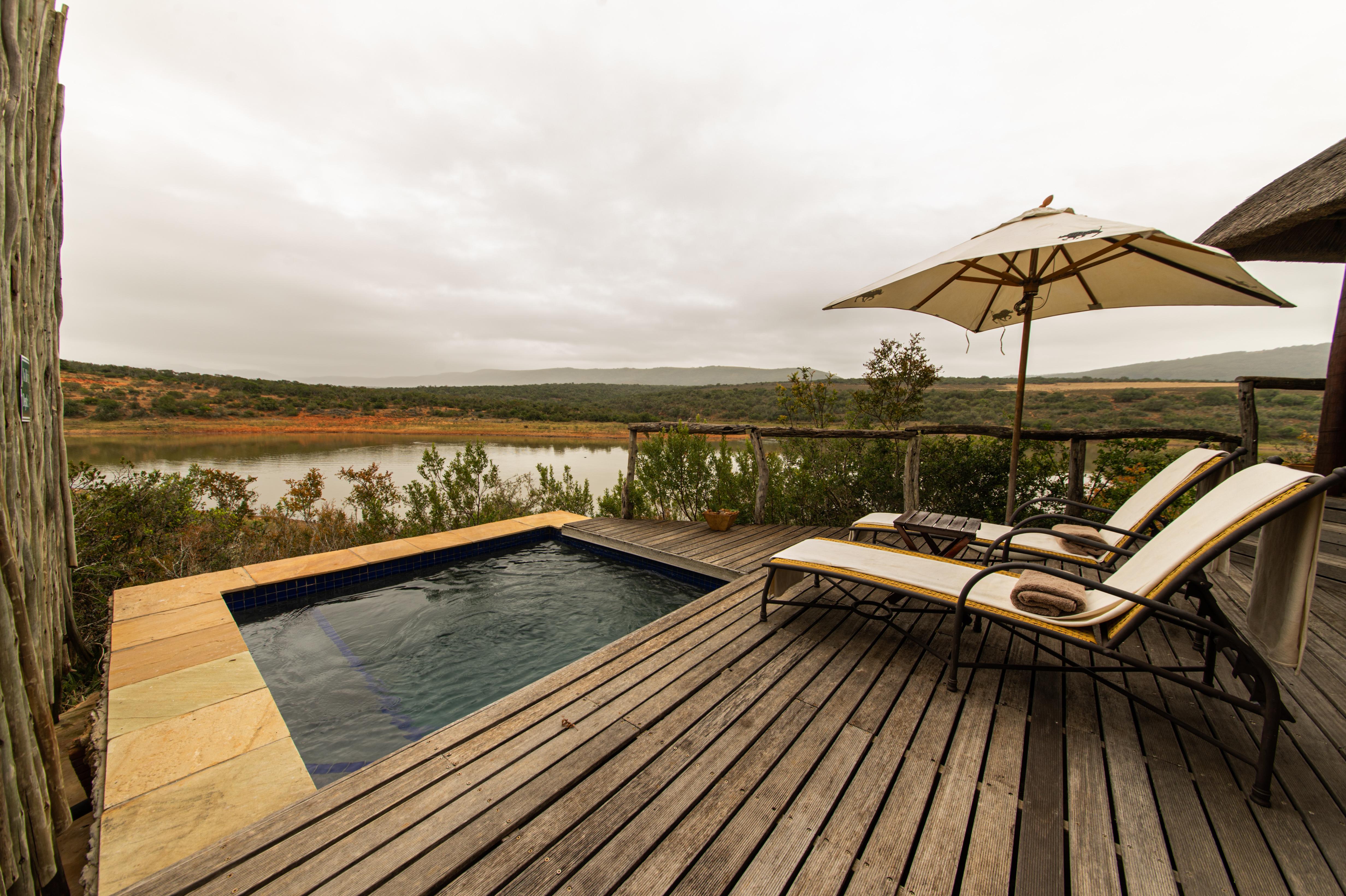 Pumba Private Game Reserve Port Elizabeth Exterior photo