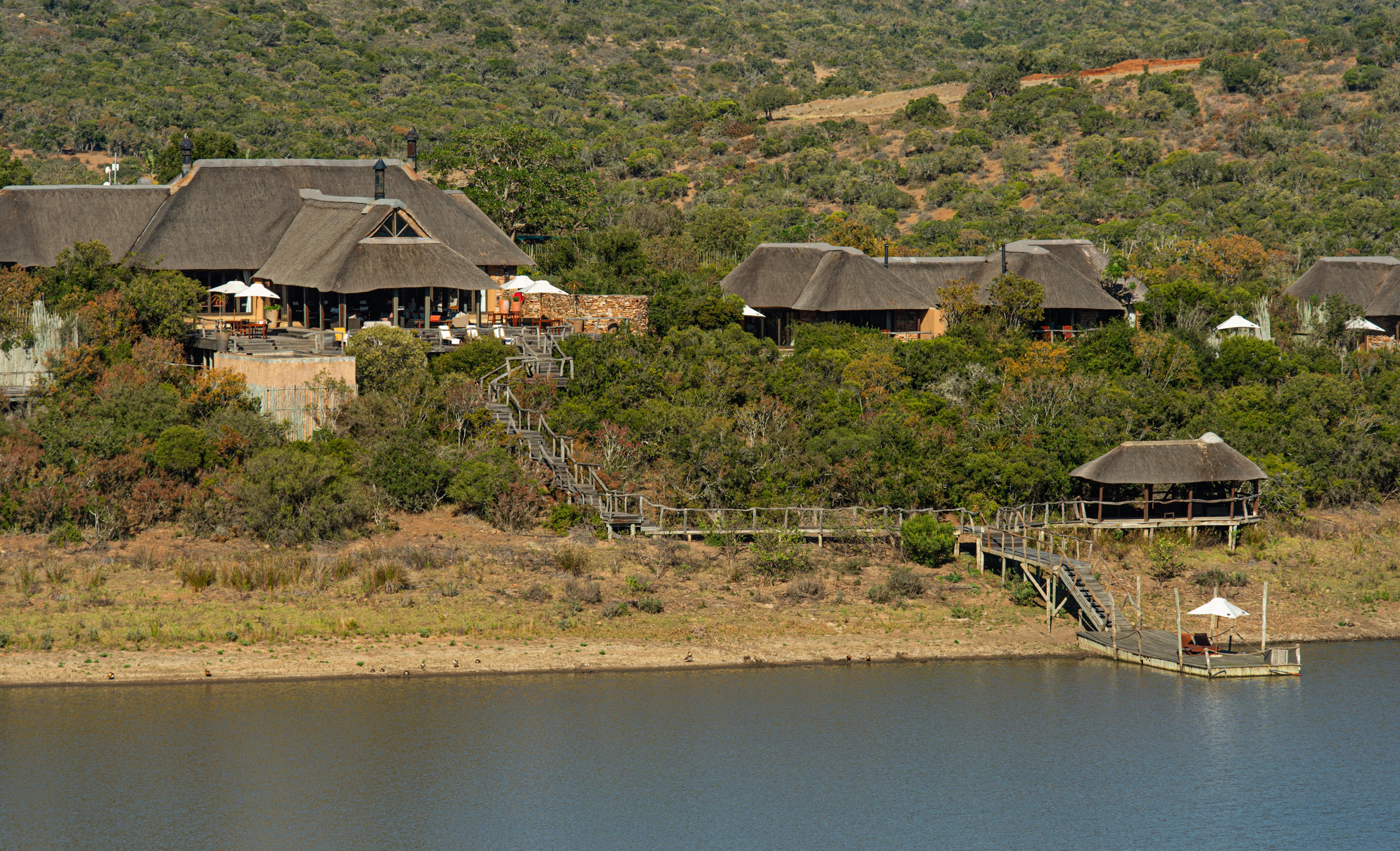 Pumba Private Game Reserve Port Elizabeth Exterior photo