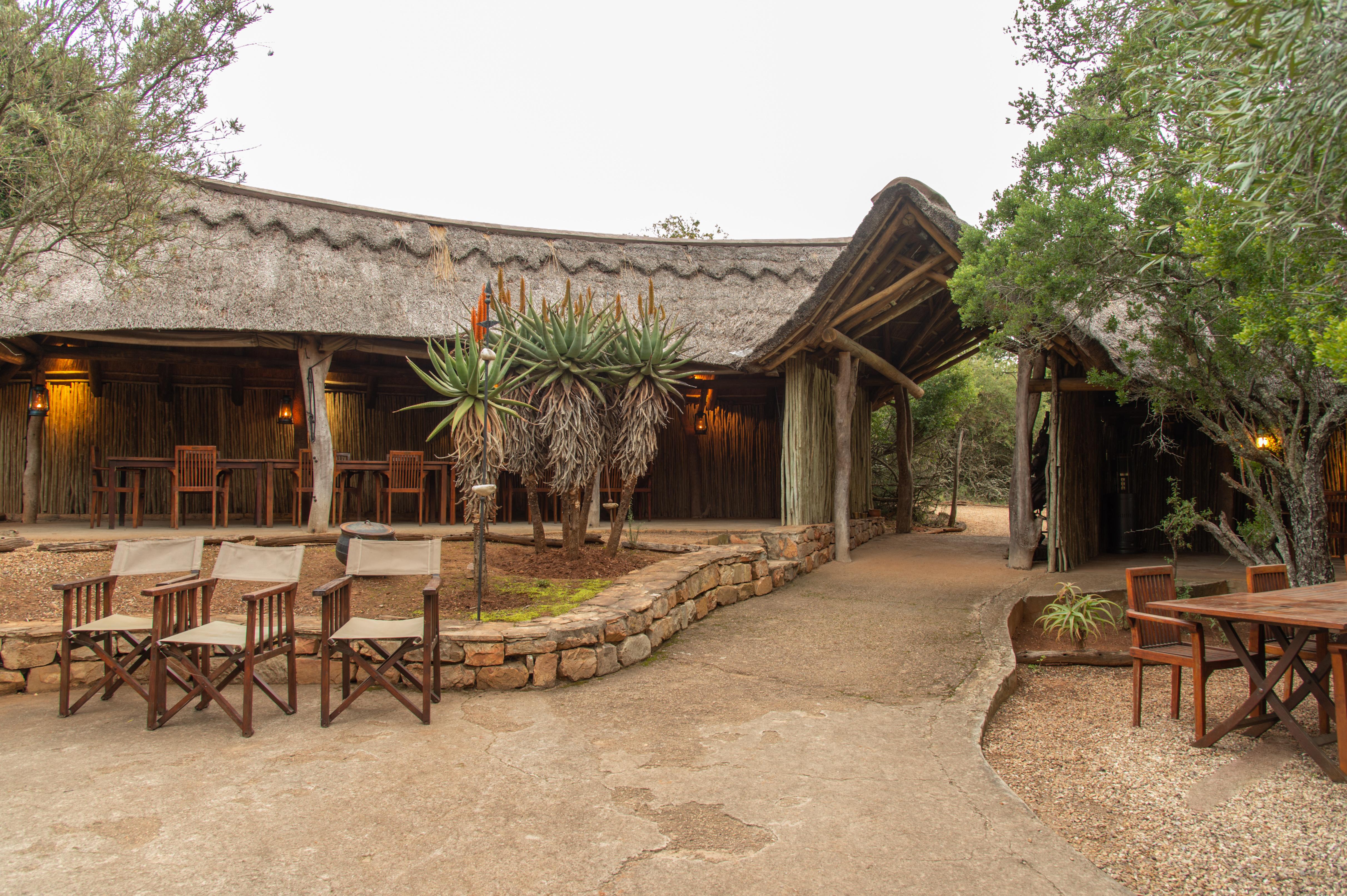Pumba Private Game Reserve Port Elizabeth Exterior photo